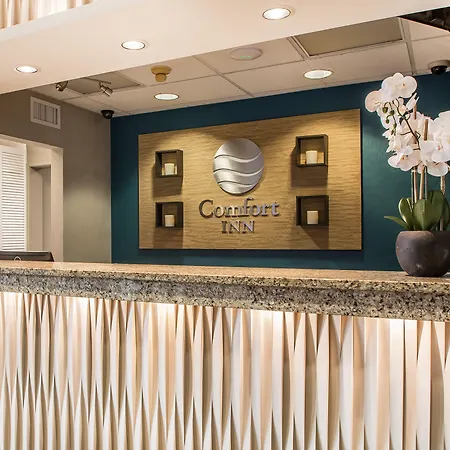 Comfort Inn South - Springfield-2